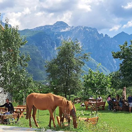 Villa Gjecaj Guesthouse And Restaurant Theth Exterior photo