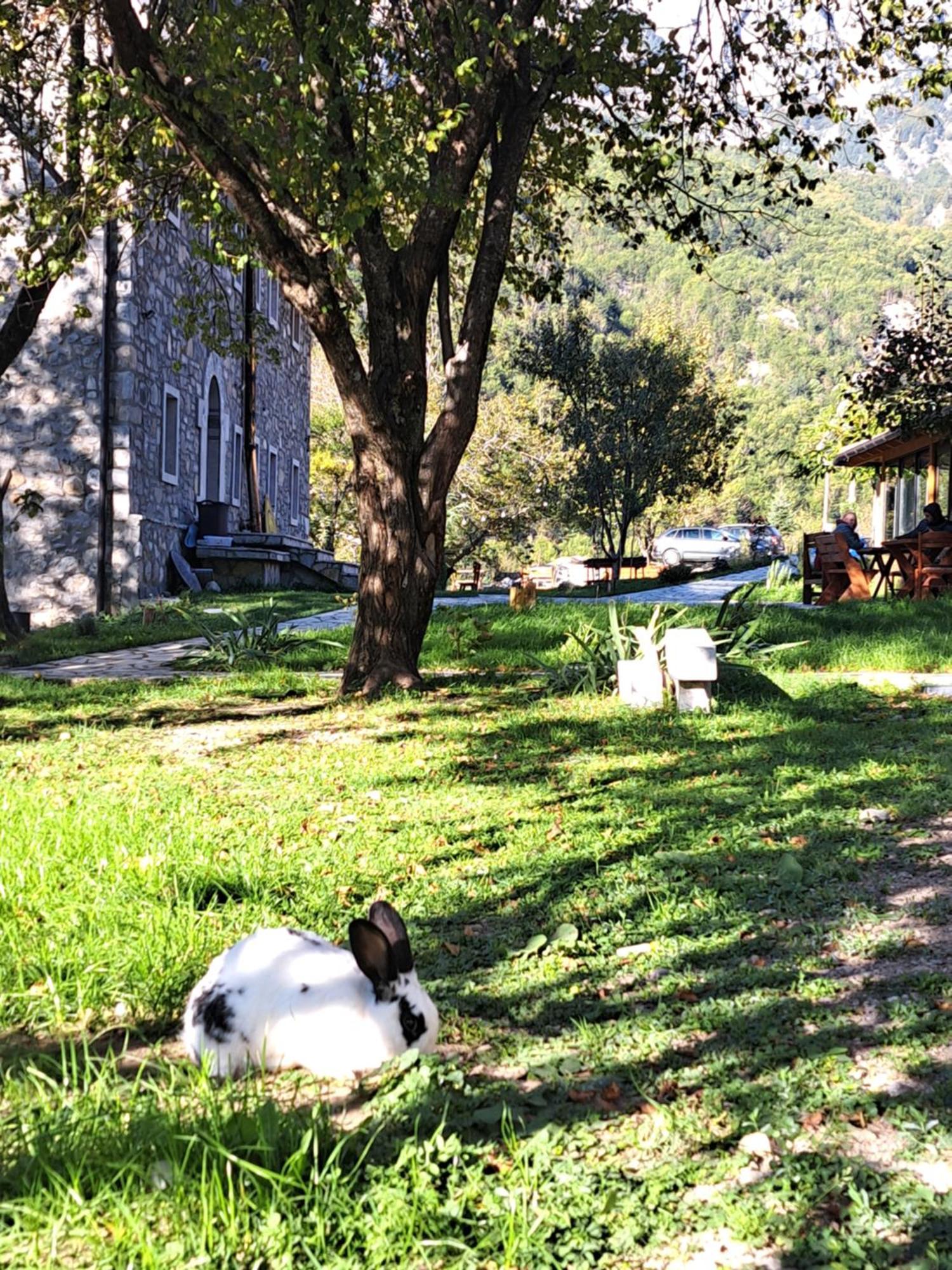 Villa Gjecaj Guesthouse And Restaurant Theth Exterior photo