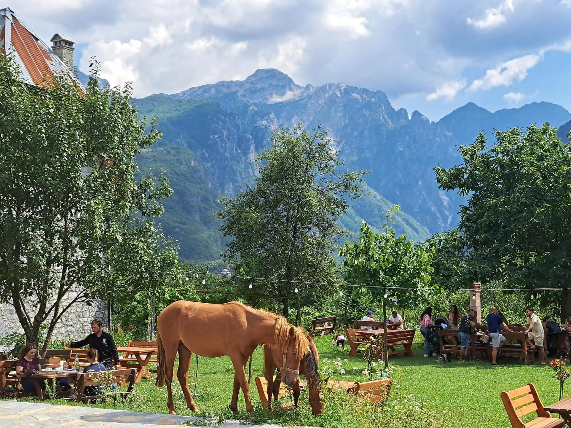 Villa Gjecaj Guesthouse And Restaurant Theth Exterior photo